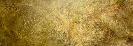 IMG_7957.jpeg
