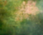 Univers 321