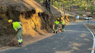 El Área de Medio Ambiente del Cabildo refuerza los trabajos de prevención de incendios en El Hierro