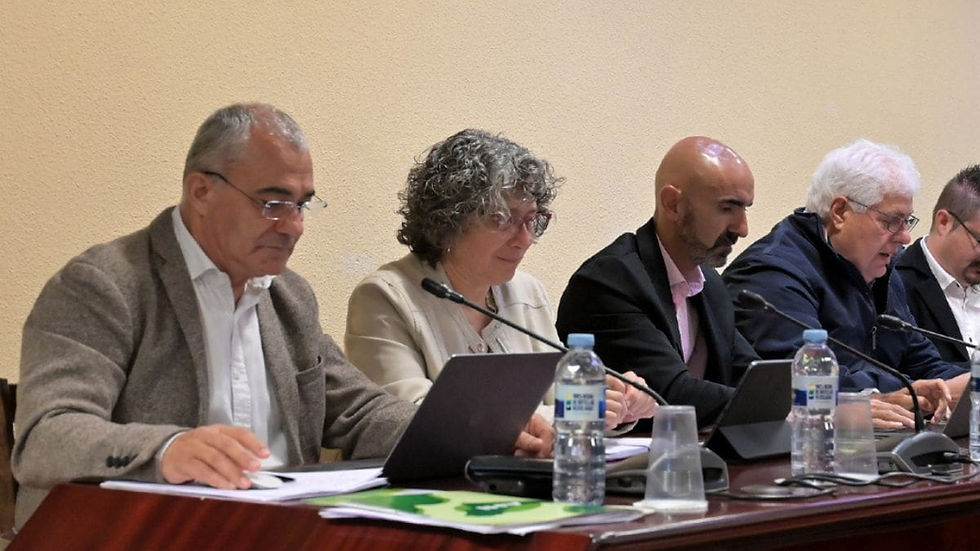 AHI afirma haber frenado la creación de nuevos directores de área y la eliminación de Nuevas Tecnologías en el pleno del Cabildo