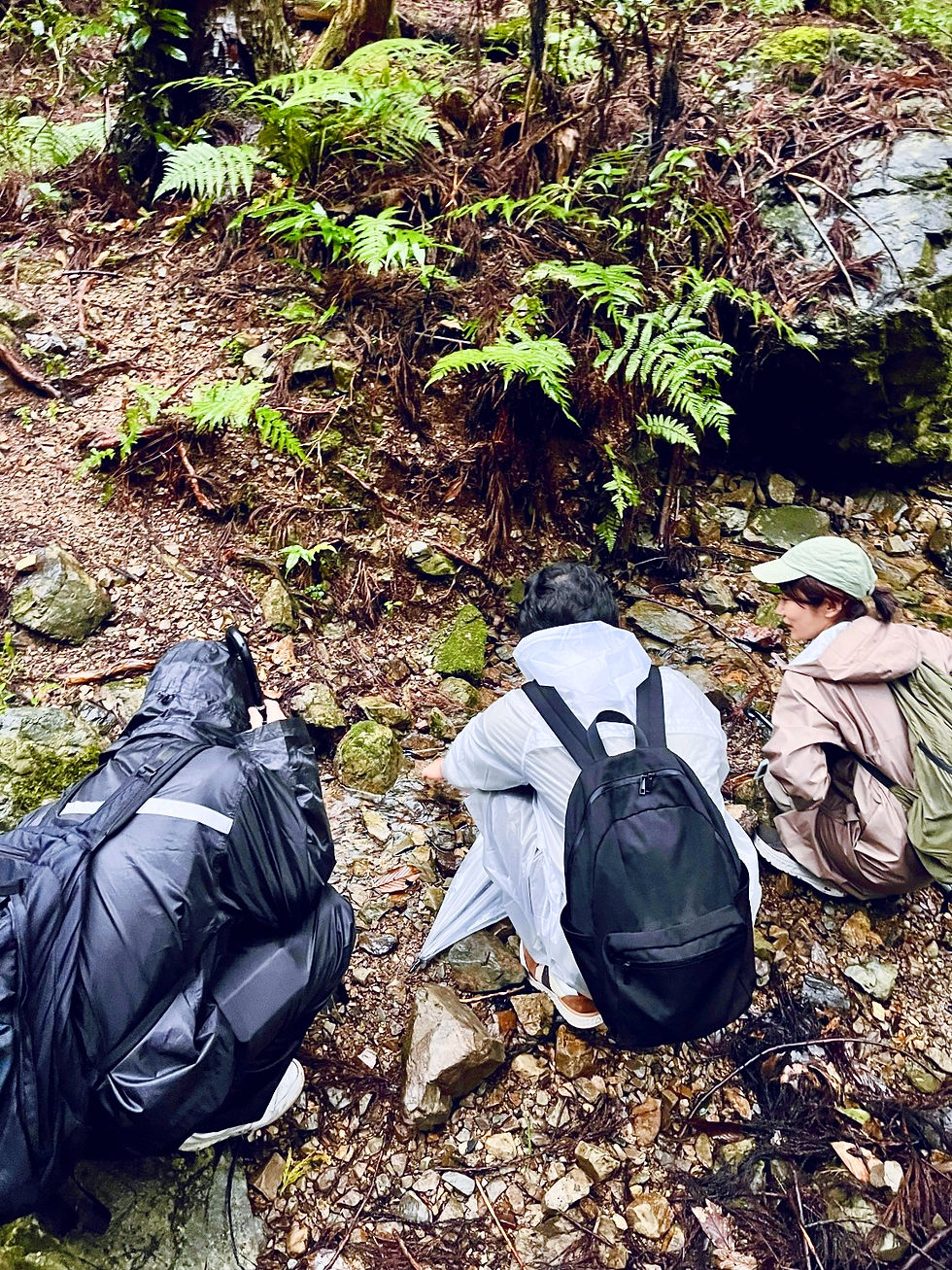 IMG_5994_xlarge 2.jpg