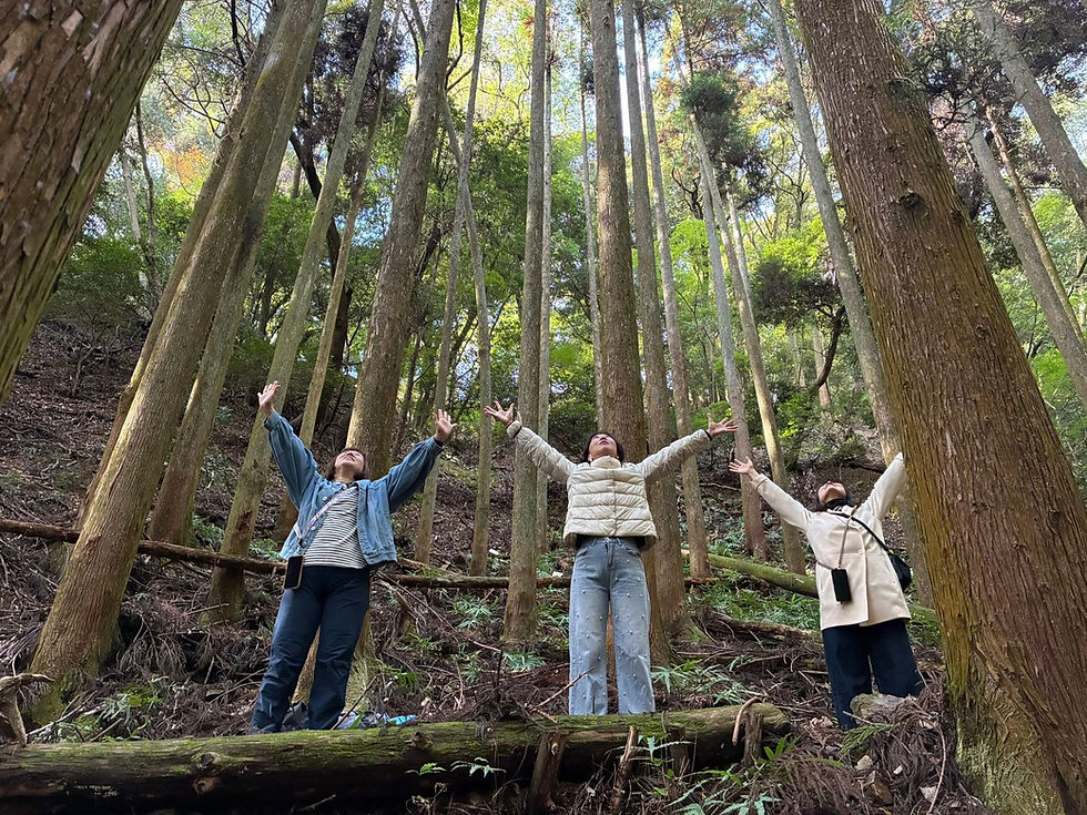 森林セラピー