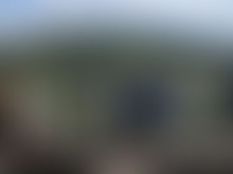 オフィシャルホームページを公開いたしました