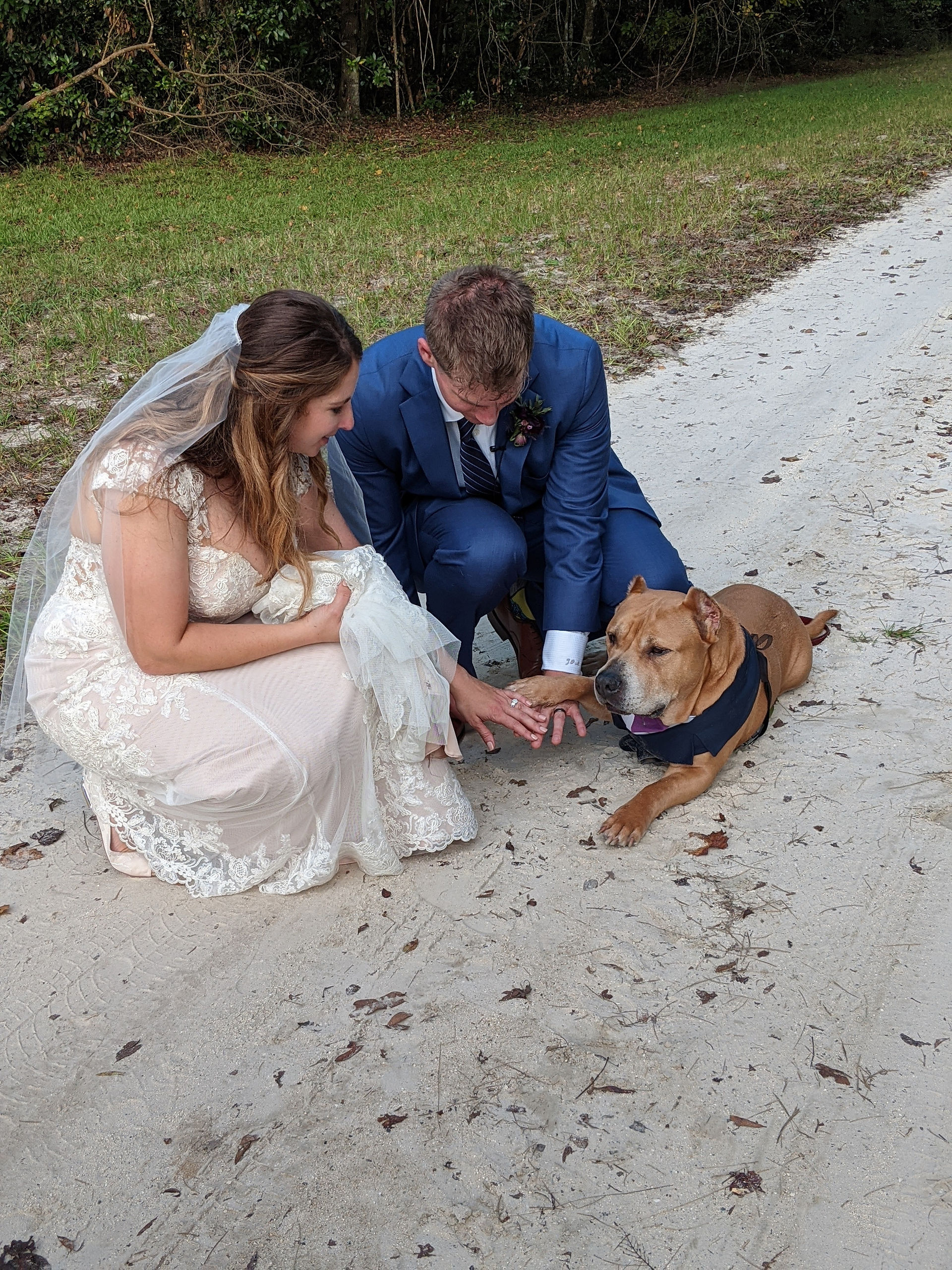 A bride and groom crouched next to their dog with their hands all piled on top of each other