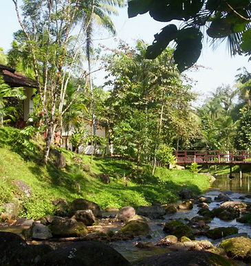 Parque Estadual Carlos Botelho 2.jpg