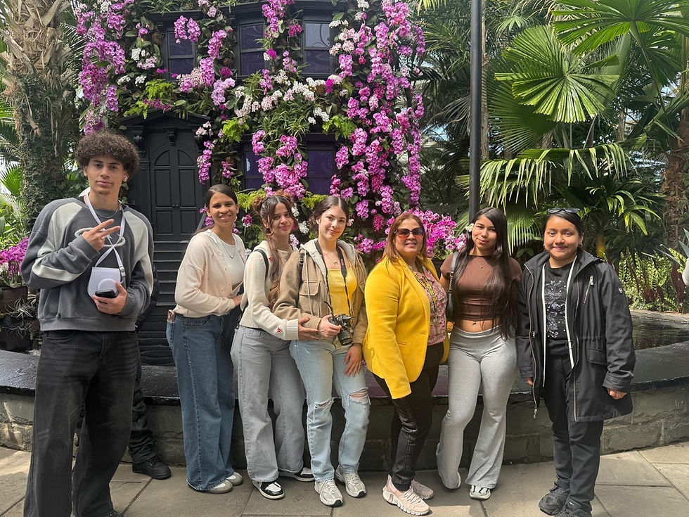 A Spring Season of Community, Culture, and Connection at HSMC
