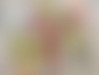 Salvia lanceolata 'Sand Sage'