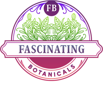 FullLogo_Transparent_NoBuffer.png