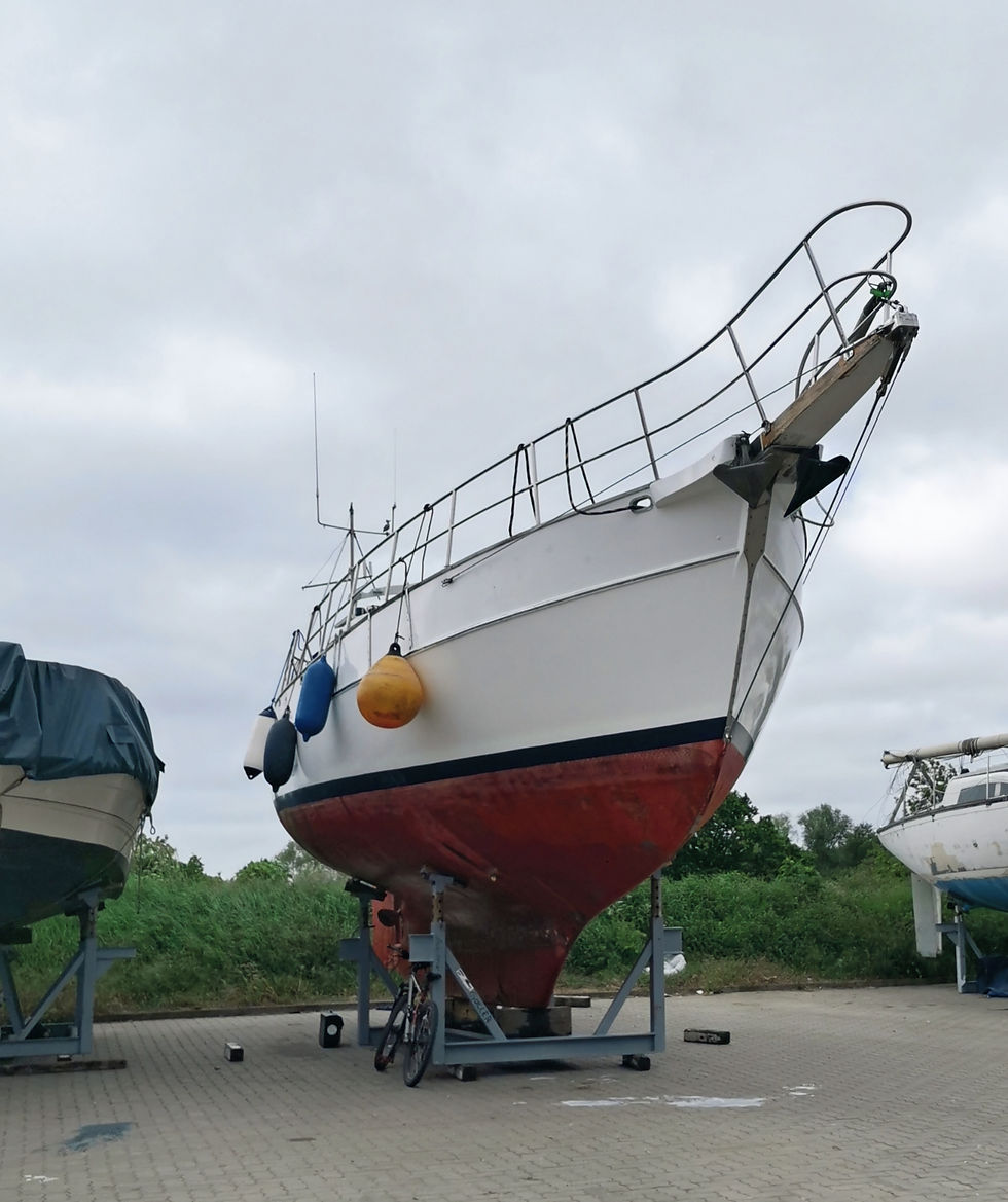 Segelboot Mave an Land auf einem Bock