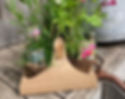 Cardboard engineered plant holder packaging