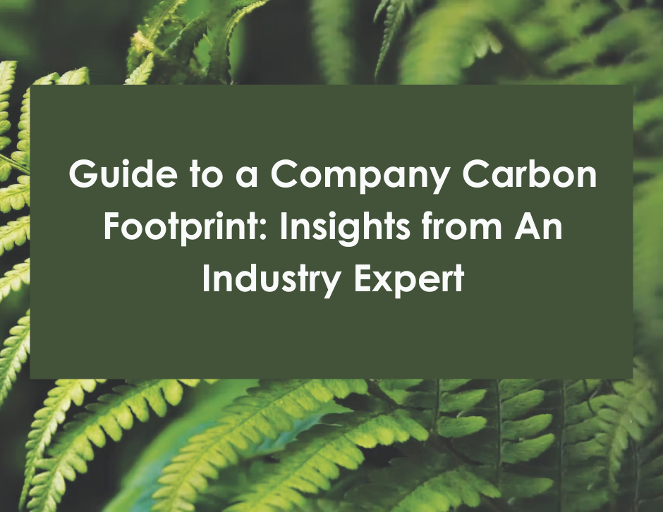 A Guide to a Company's Carbon Footprint: Insights from An Industry Expert