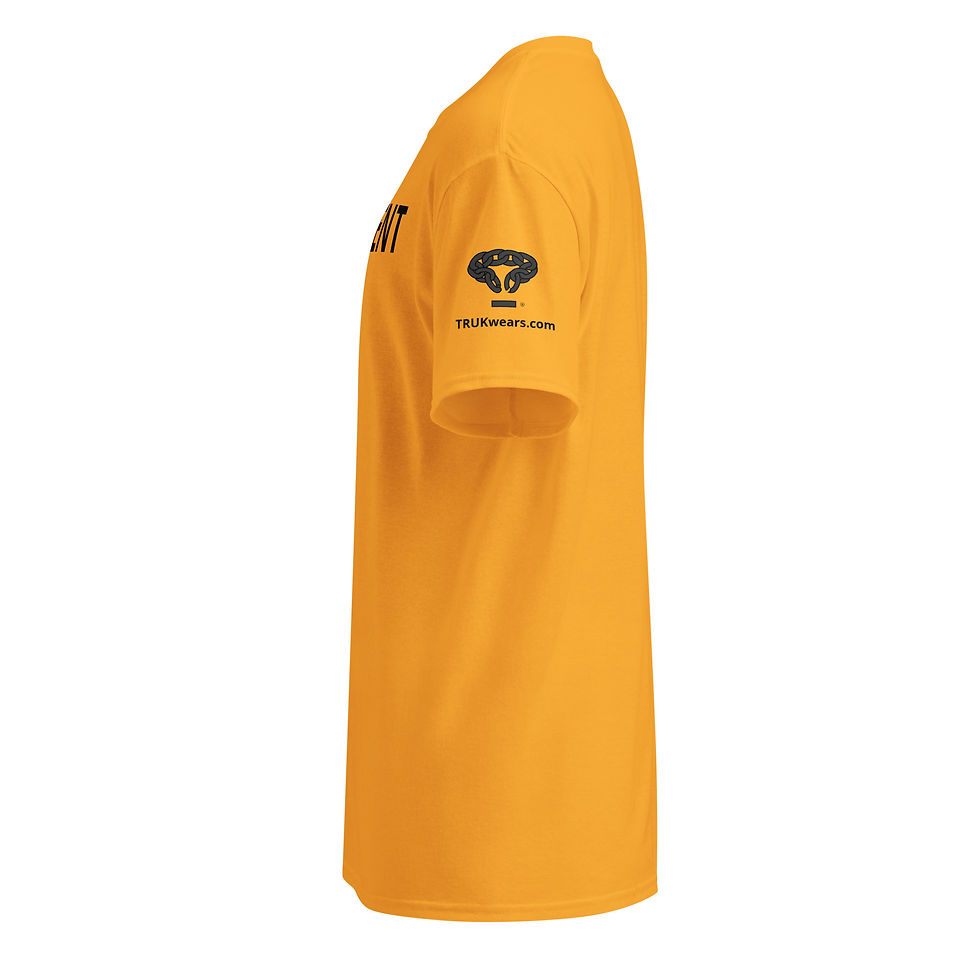 Thumbnail: DryBlend® T-Shirt