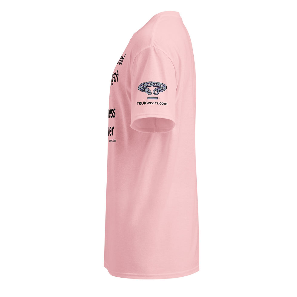 Thumbnail: DryBlend® T-Shirt