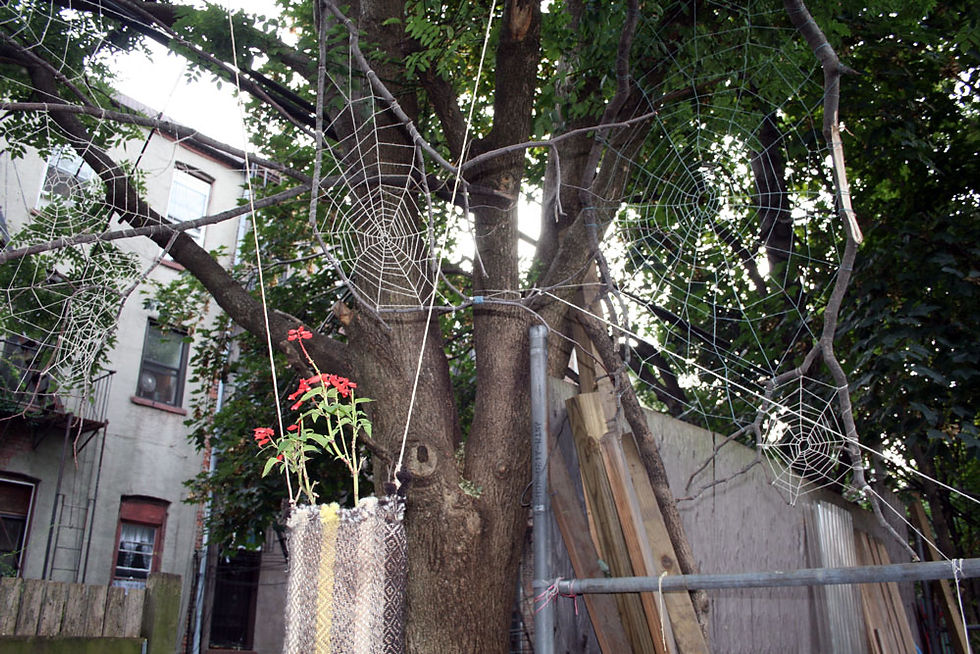 Completed Installation