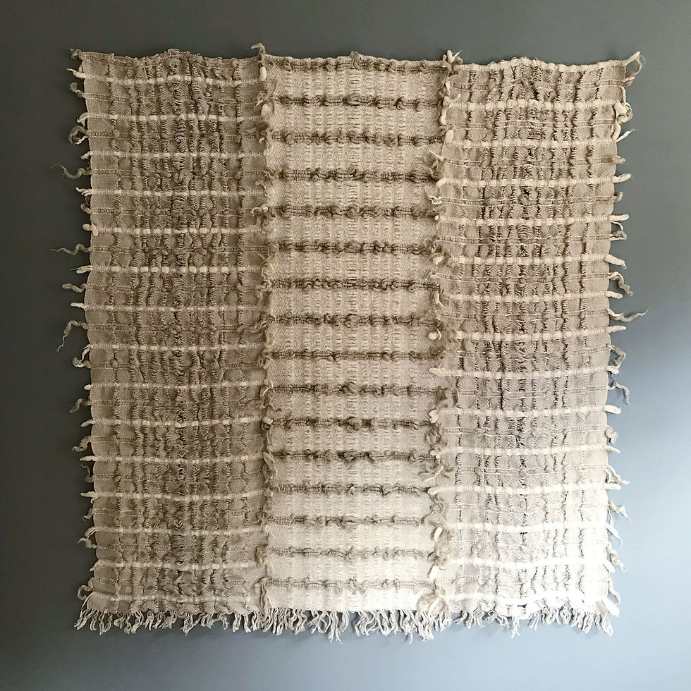 Moths : Stronger Than Before