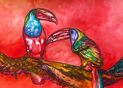 Toucans 01.jpg