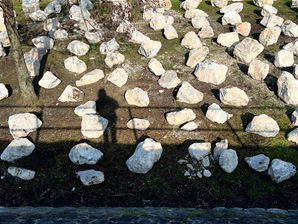 FIELD OF STONES