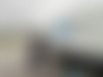 ALLIES IN STORMY WEATHER