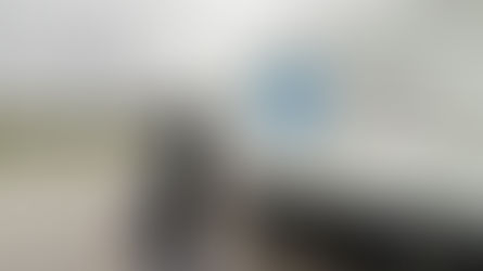 ALLIES IN STORMY WEATHER