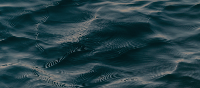 Screen Shot 2022-09-26 at 11.15.17 pm.png