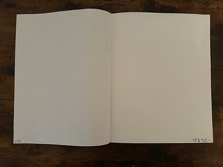 Intermediate Dummy 2.png