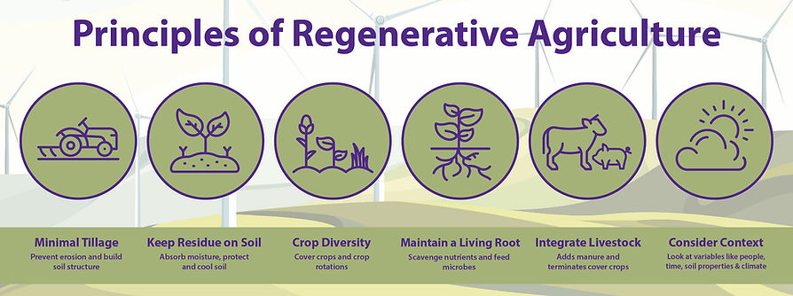 6 Regenerative Agriculture Principles