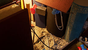 close up 3.jpg