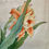 Thumbnail: "Lilies" | Painting on Silk