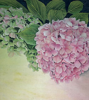 Hydrangea.jpeg