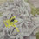 Thumbnail: "Poppies" | Painting on Silk