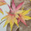 Thumbnail: "Autumn Leaves" | Painting on Paper