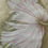 Thumbnail: "Poppies" | Painting on Silk