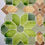 Thumbnail: "Forest" | Other Traditions | Geometry