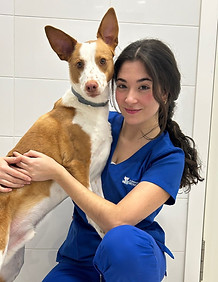 Clinica Veterinaria Benavente