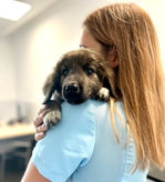perrito con veterinario