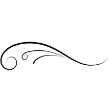 trail v2.png