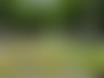 Yes, Black Lives Matter!