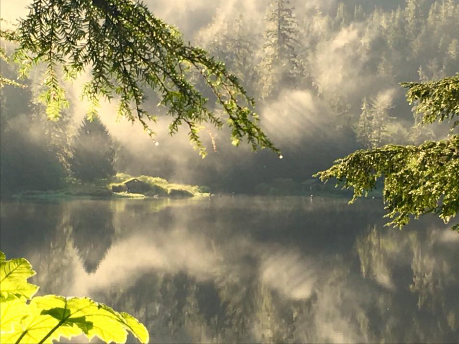 mist.png