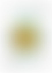 The Aleph - LESSON 1