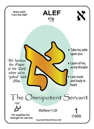 The Aleph - LESSON 1