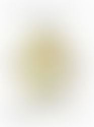 LESSON 10 - The Yod