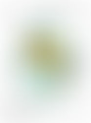 The Dalet - LESSON 4