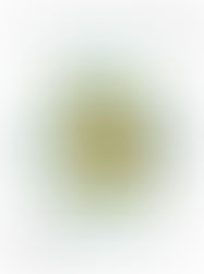 The Bet - LESSON 2