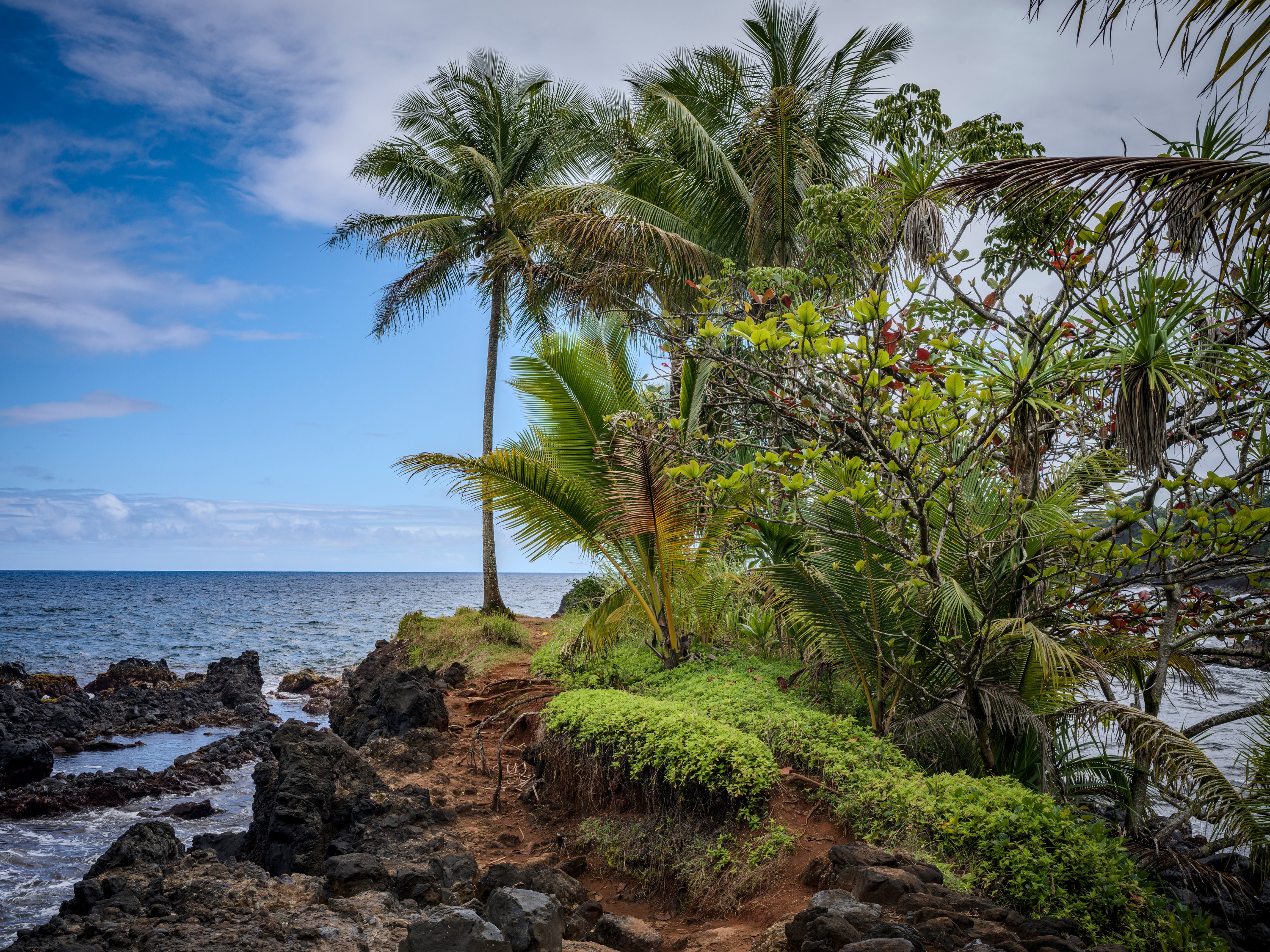 Onomea Bay has several small peninsulas that make great picnic spots and photo locations, like this one