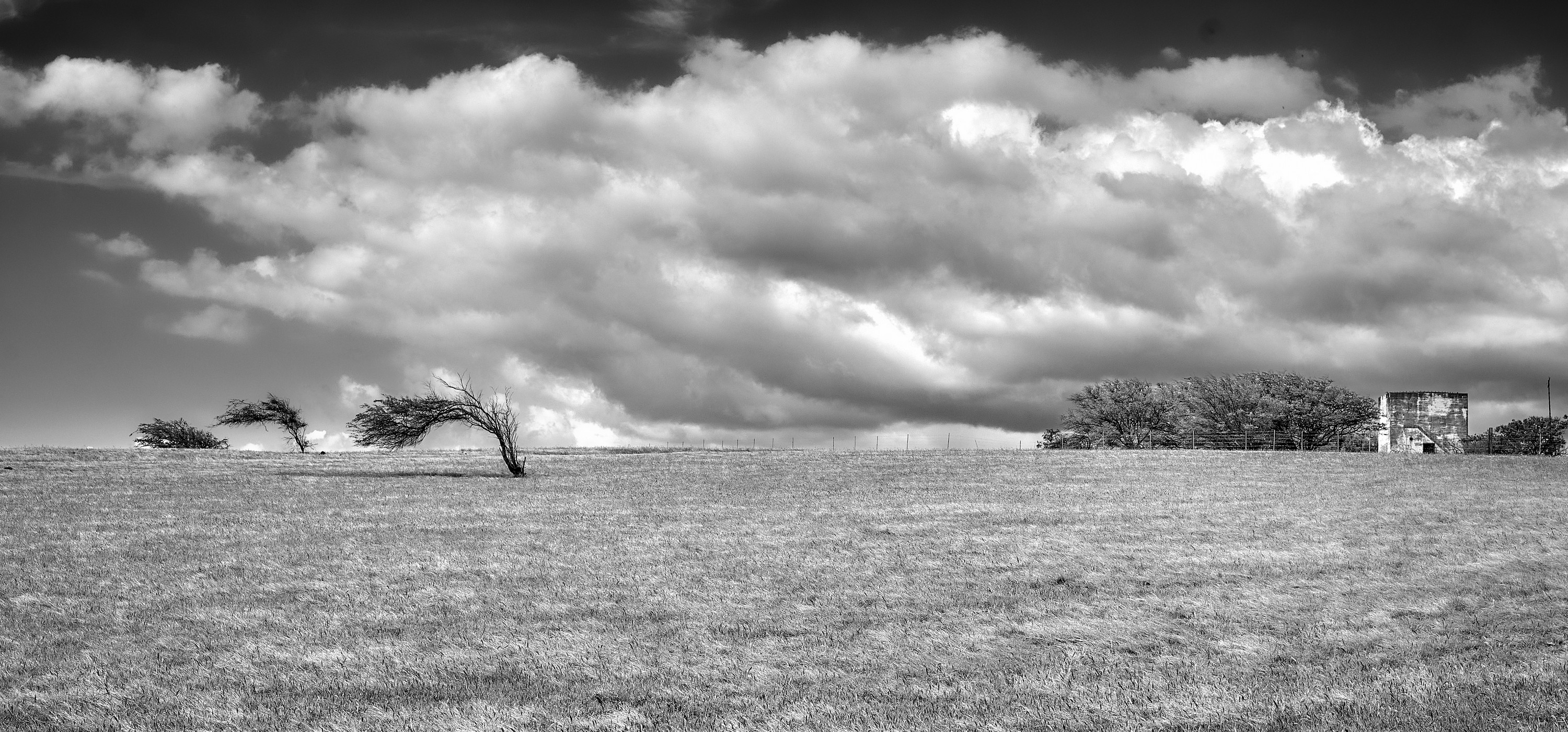 An old farm and pasture land near South Point in Ka'u