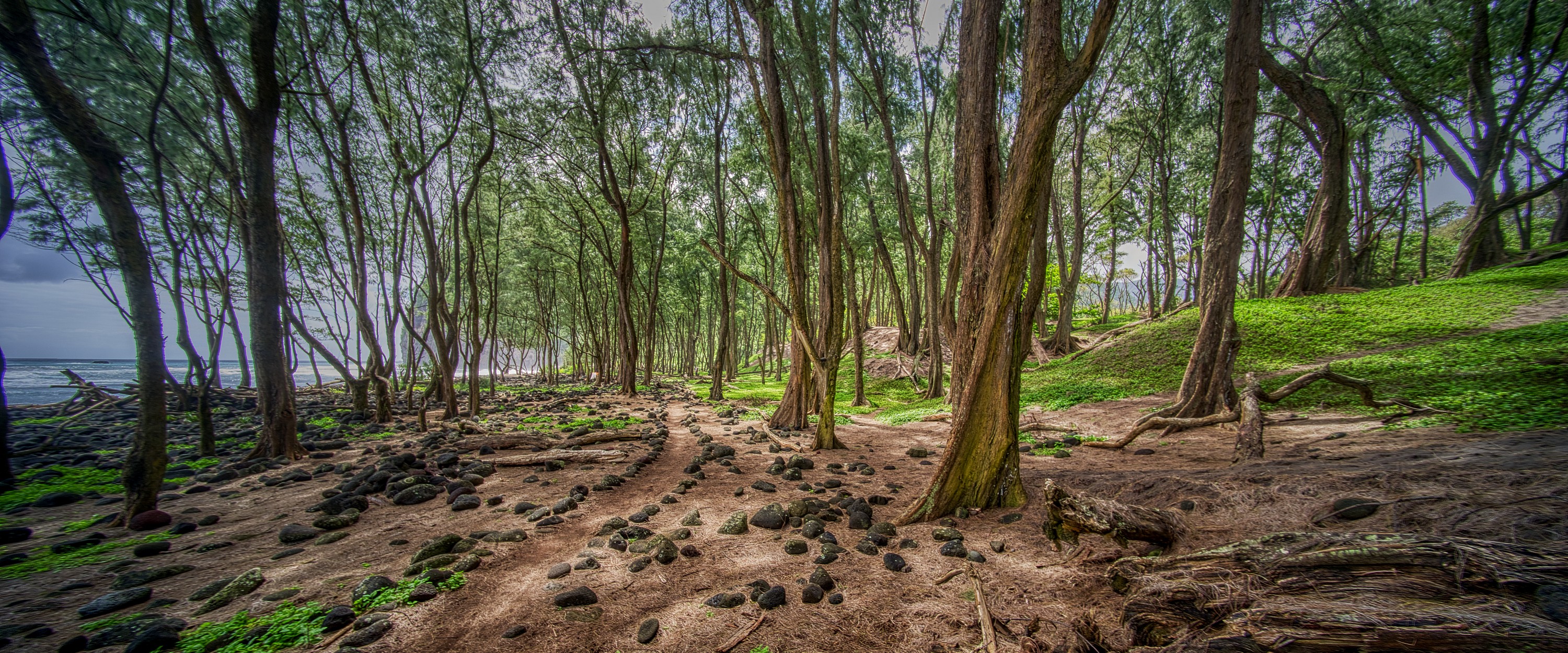 Sand dunes in the Pololu Valley (not black like the beach) are thought to be from decomposed lava, pushed inland by wave action. The valley itself was created long ago when the eastern side of the Kohala volcano collapsed into the sea.