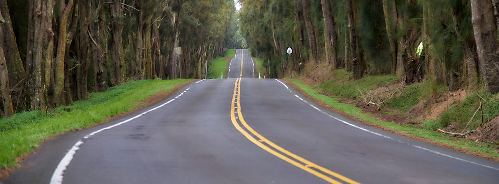 Looking down the center stripe of Kohala Mountain Road as it undulates into the distance on Hawaii