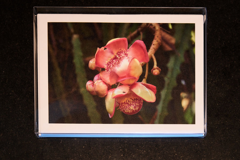 Thumbnail: Hawaii Flowers Photo Greeting Cards - Set #1