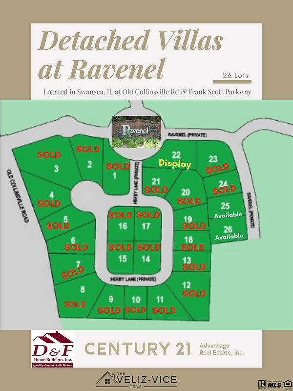 Ravenel Plat Flyer Phase 1 (1).png