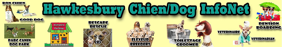 Hawkesbury Chien Infonet